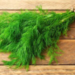 بذر شوید 1 بذر شوید