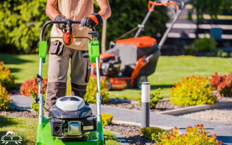 انجام خدمات فضای سبز در رشت