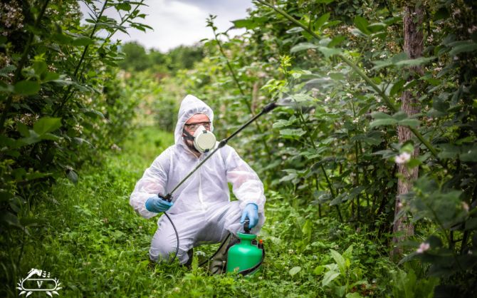 خدمات باغبانی و دفع آفات