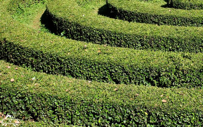 خدمات فرم دهی در فومن