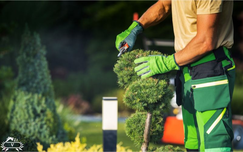 خدمات فرم دهی در فومن