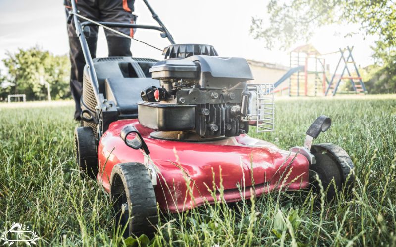 خدمات فضای سبز در رشت