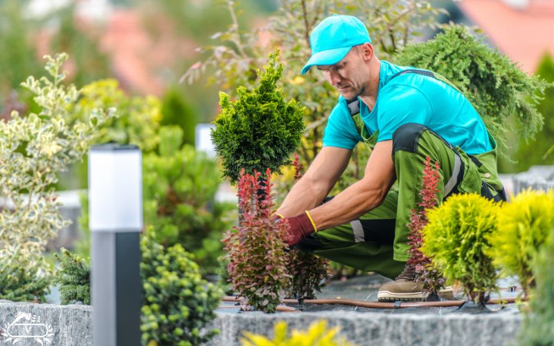 خدمات فضای سبز لاهیجان