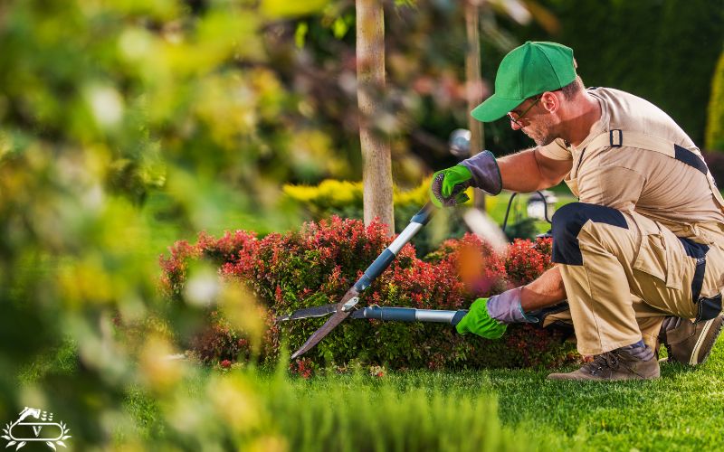 خدمات فضای سبز رشت (1)