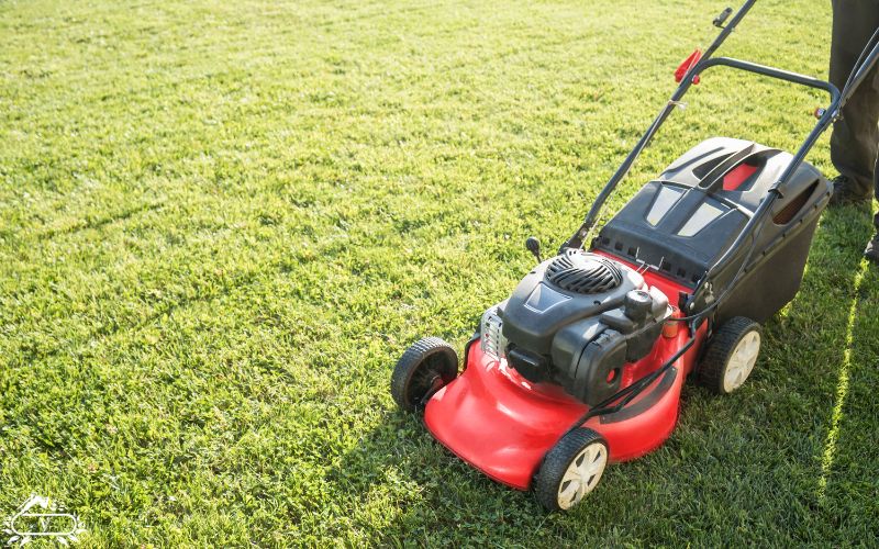 خدمات فضای سبز رشت