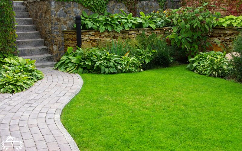 خدمات فضای سبز لاهیجان