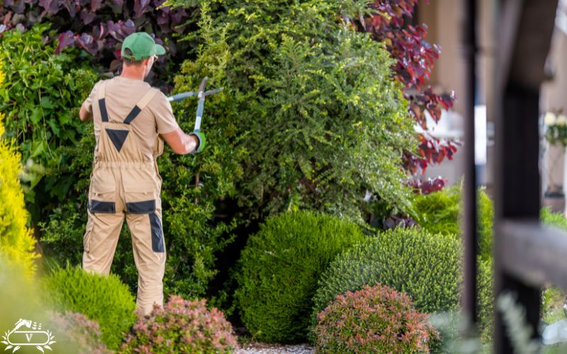 خدمات فضای سبز لاهیجان