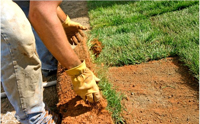 خدمات محوطه سازی ویلا