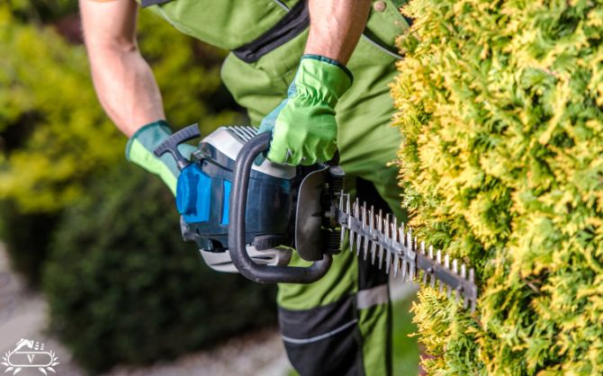 خدمات هرس فرم دهی لاهیجان