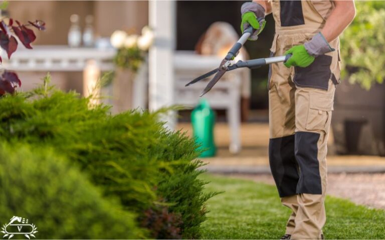 خدمات هرس فرم دهی گیاهان در رشت