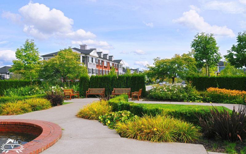 خدمات فضای سبز فومن 4 فضای سبز در فومن