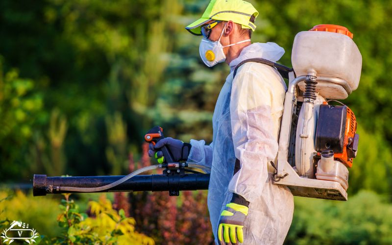 خدمات فضای سبز فومن 3 فضای سبز در فومن