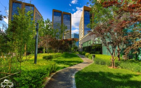 فضای سبز فومن