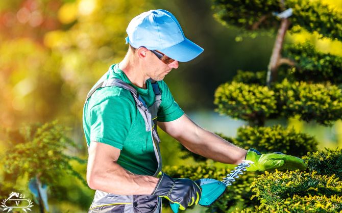 هرس و فرم دهی فومن