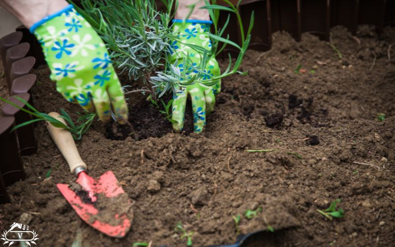 خدمات باغبانی رشت