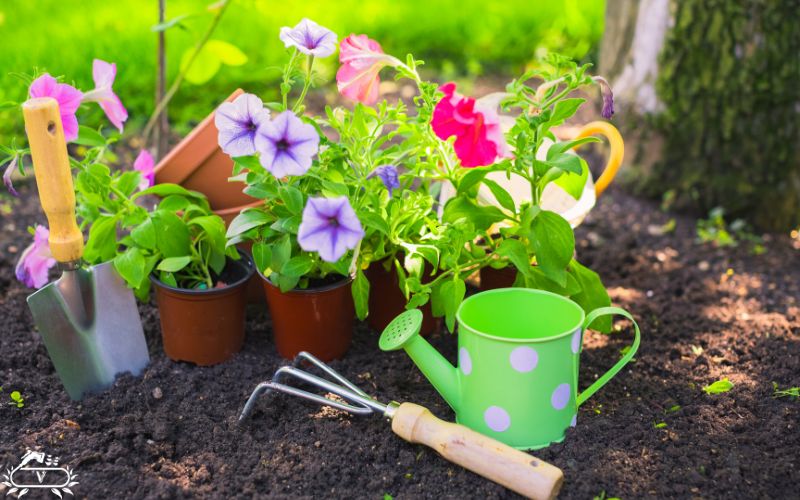 خدمات باغبانی رشت