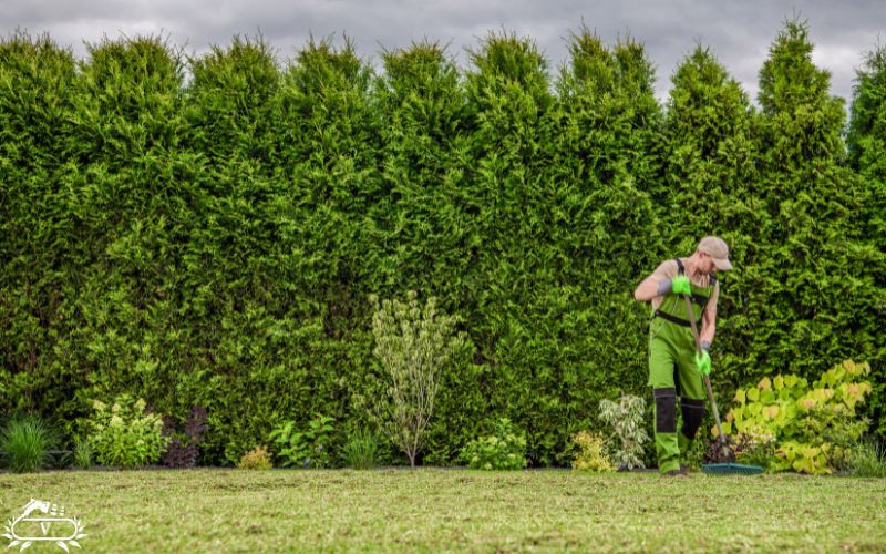 خدمات باغبانی رشت