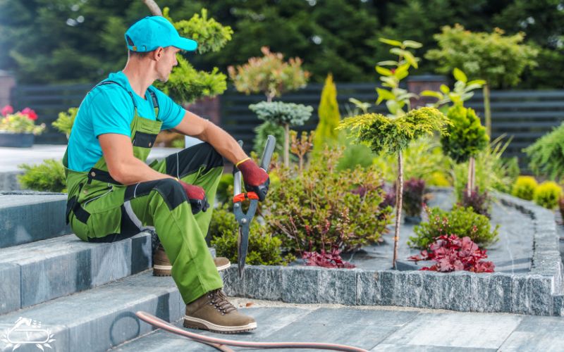 خدمات باغبانی فومن