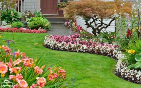 خدمات باغبانی فومن