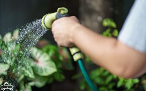 خدمات باغبانی لاهیجان