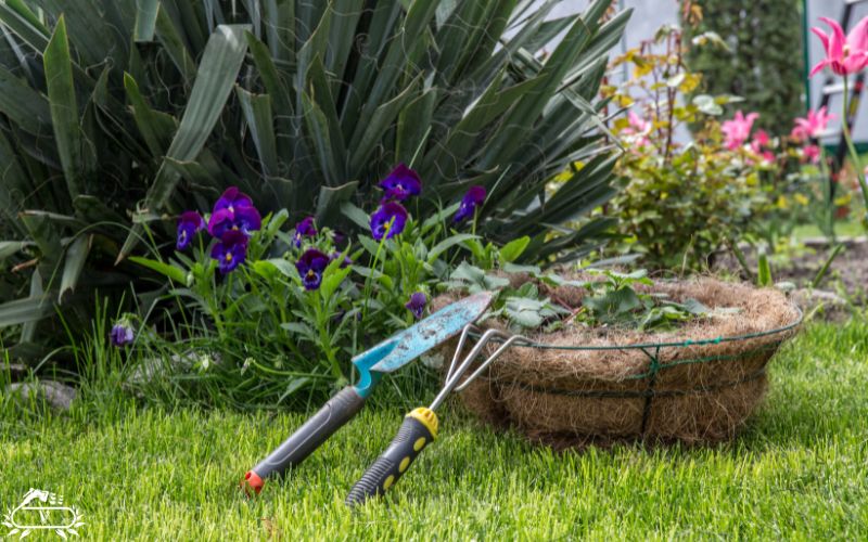 خدمات باغبانی لاهیجان