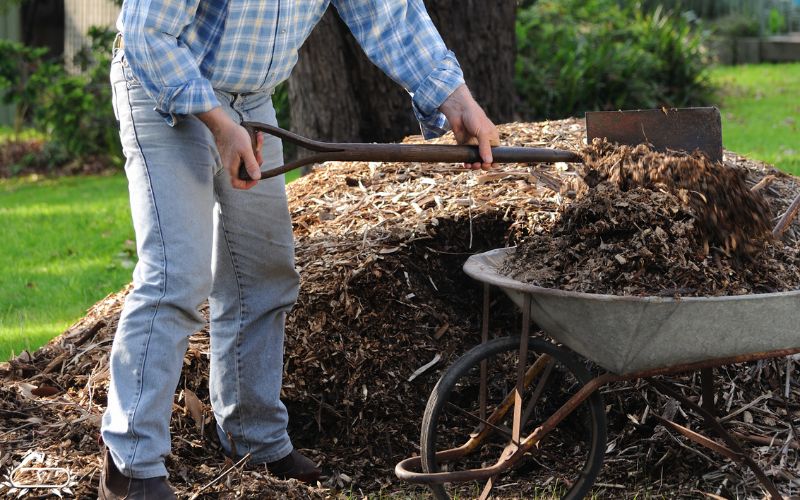 خدمات باغبانی لاهیجان