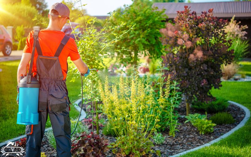 خدمات باغبانی لاهیجان