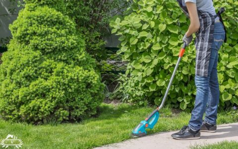 خدمات هرس چمن