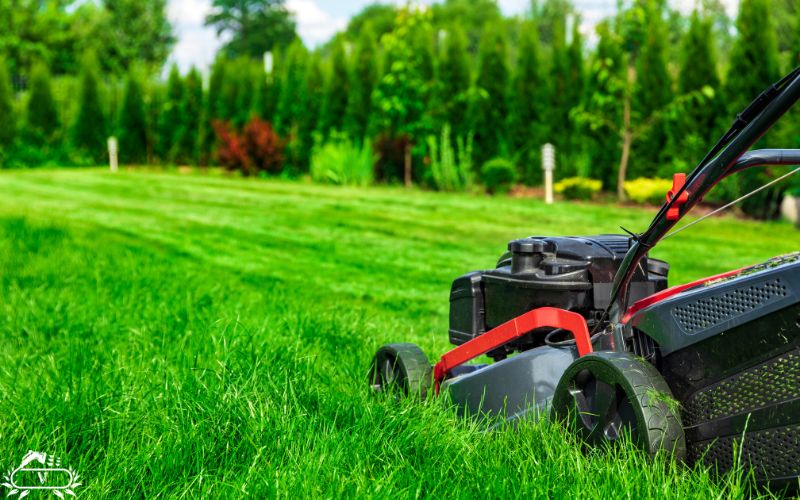 خدمات هرس چمن