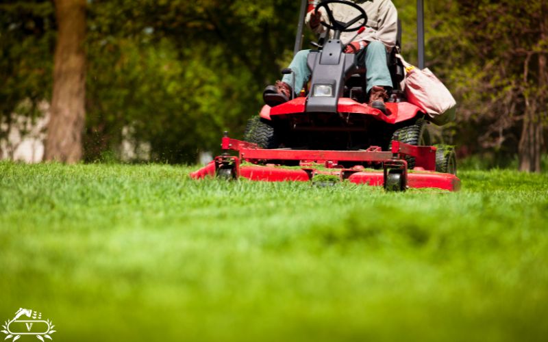 خدمات هرس چمن