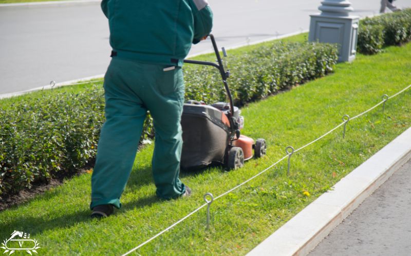 خدمات هرس چمن در لاهیجان