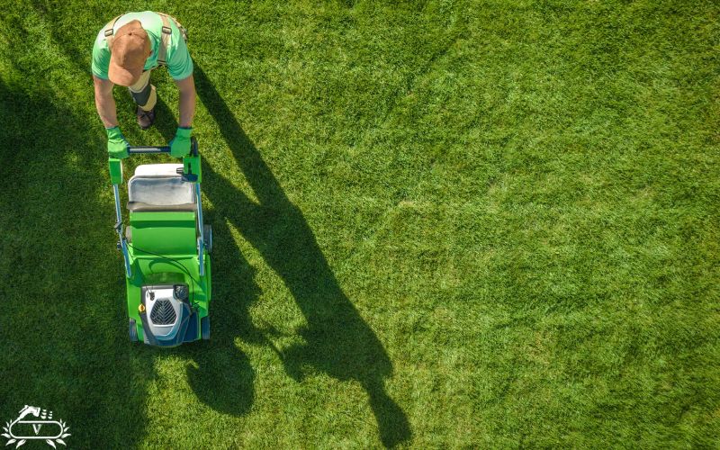 خدمات هرس چمن در لاهیجان