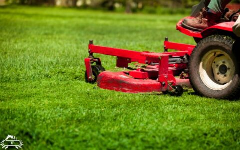 خدمات هرس چمن در لاهیجان