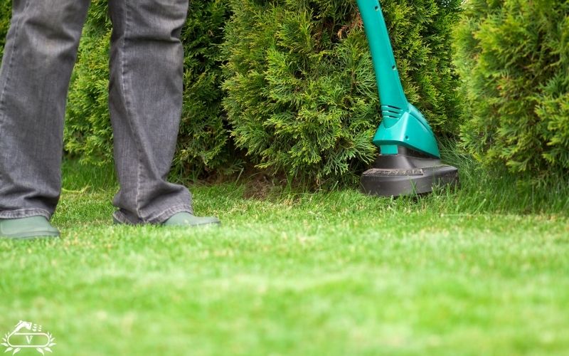 خدمات هرس چمن رشت