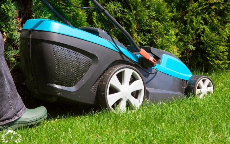 خدمات هرس چمن رشت