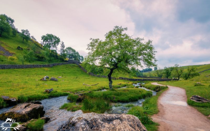 پارک های جنگلی