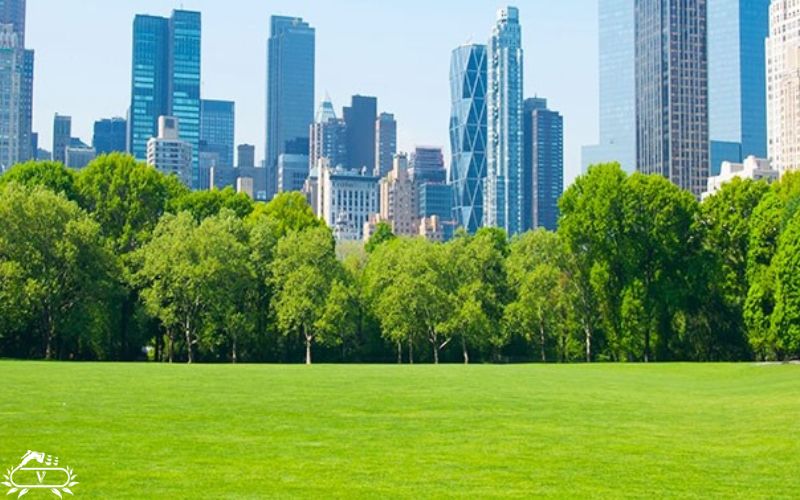 انواع فضای سبز شهری