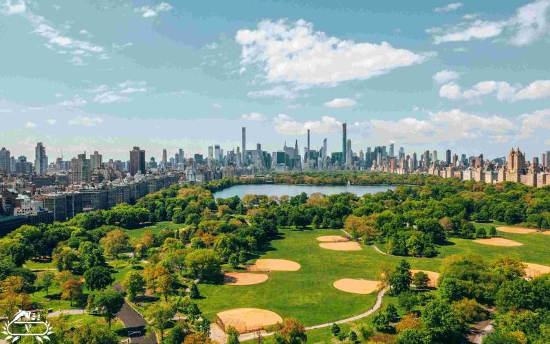 فضای سبز پایدار چیست