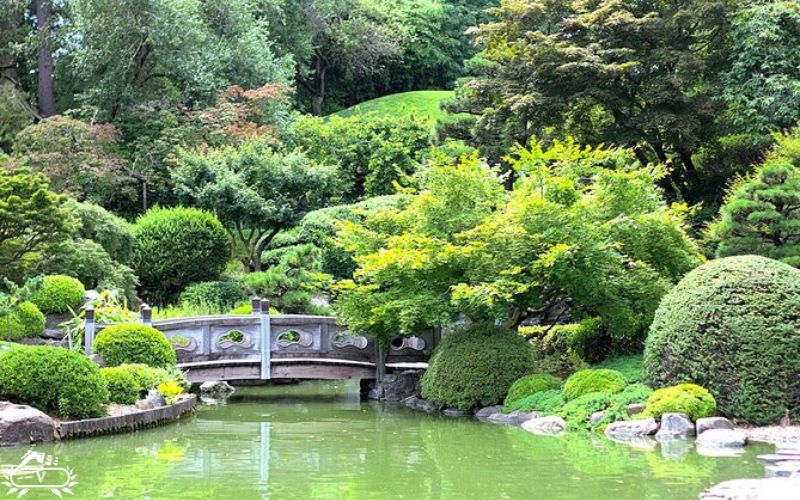 باغ های گیاه شناسی