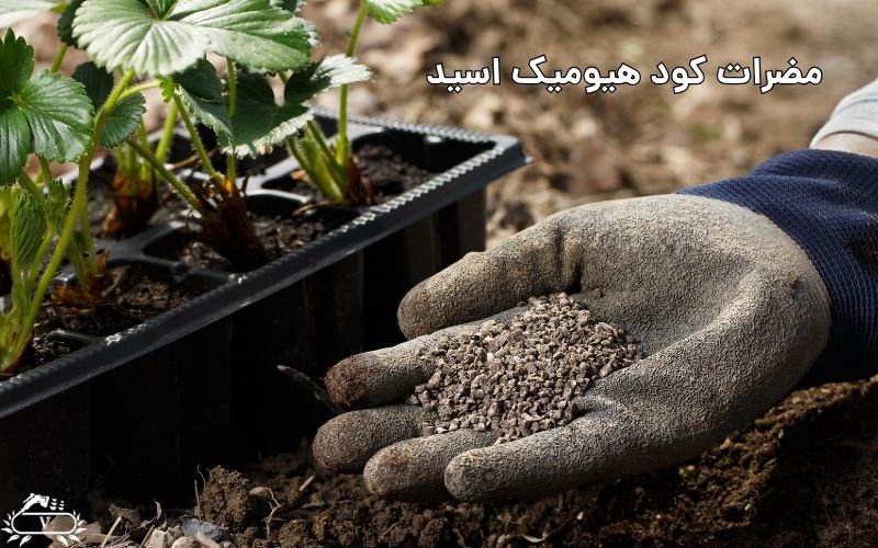 مضرات کود هیومیک اسید