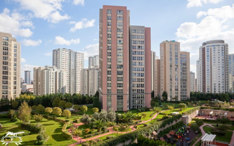 گیاهان مناسب برای فضای سبز 