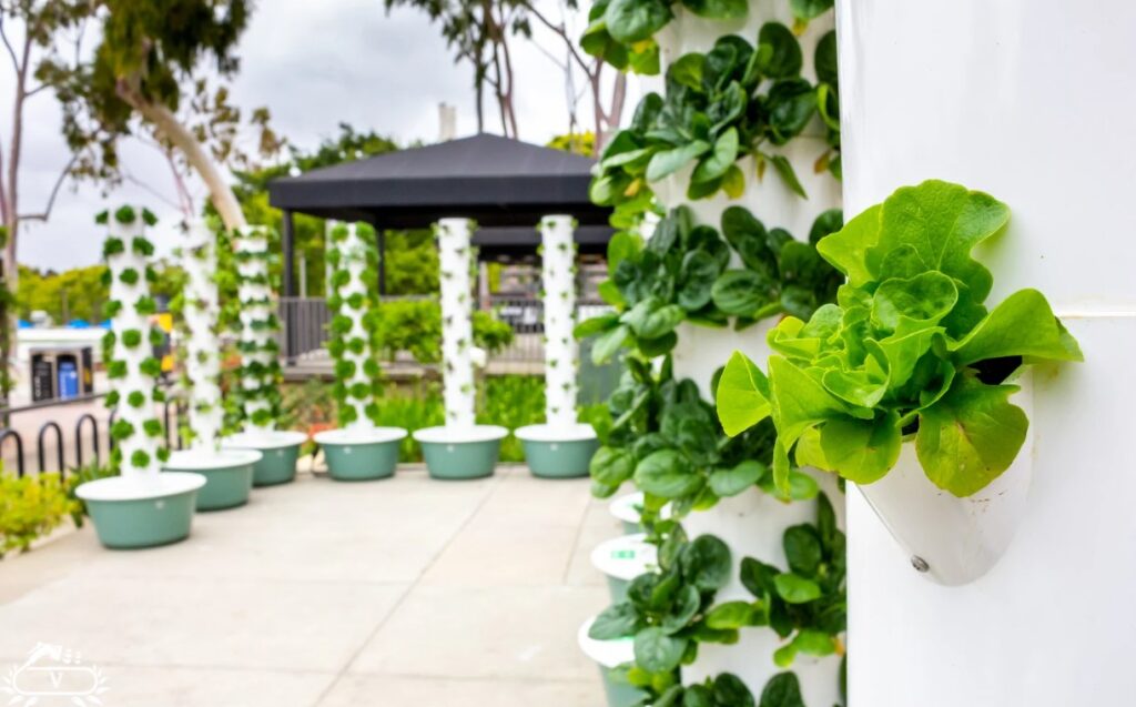 اصول طراحی فضای سبز | راهنمای کامل طراحی باغ و محوطه سازی حرفه ای 3 اشتباهات رایج در طراحی فضای سبز