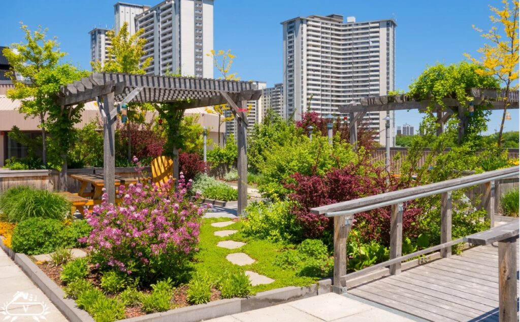 اصول طراحی فضای سبز | راهنمای کامل طراحی باغ و محوطه سازی حرفه ای 5 اصول طراحی فضای سبز پشت بام