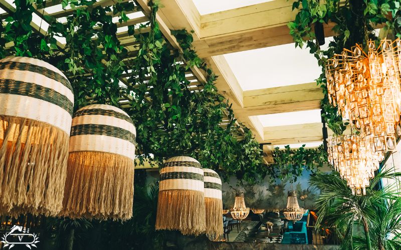 بهترین گیاهان برای فضای سبز رستوران