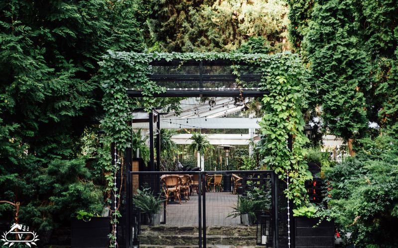 طراحی فضای سبز رستوران