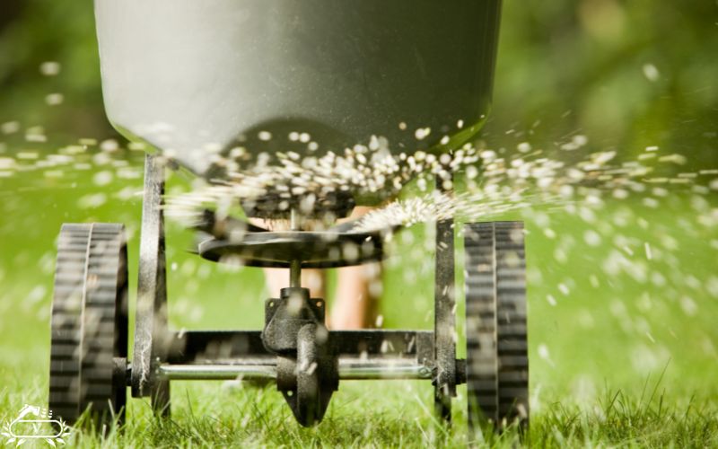 کوددهی نهال تازه کاشت شده