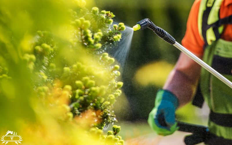 بهترین کود نهال تازه کاشته شده