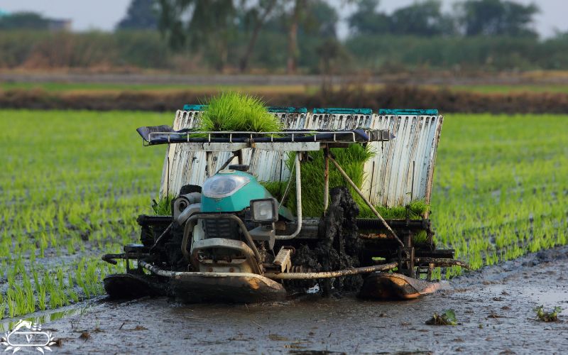 اجاره تجهیزات کشاورزی در فومن با بهترین قیمت و بدون دردسر 2 اجاره تجهیزات کشاورزی در فومن