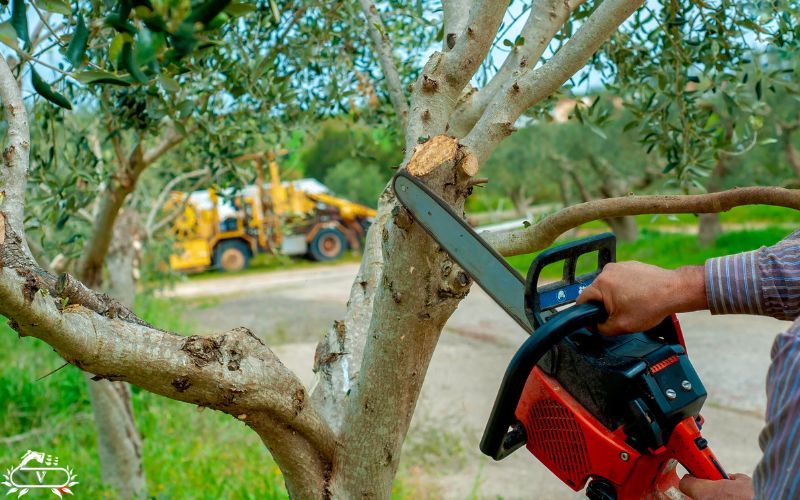 اجاره تجهیزات کشاورزی در لاهیجان با قیمت عالی و تحویل فوری 2 اجاره تجهیزات کشاورزی در لاهیجان