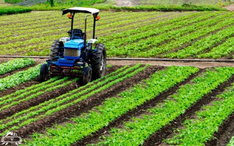 اجاره تجهیزات کشاورزی در لاهیجان